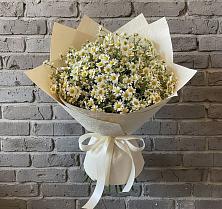 Букет цветов из:  Ромашки #REPLACE_PRED# Богатых Сабах